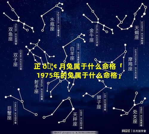 正 🦢 月兔属于什么命格「1975年的兔属于什么命格」